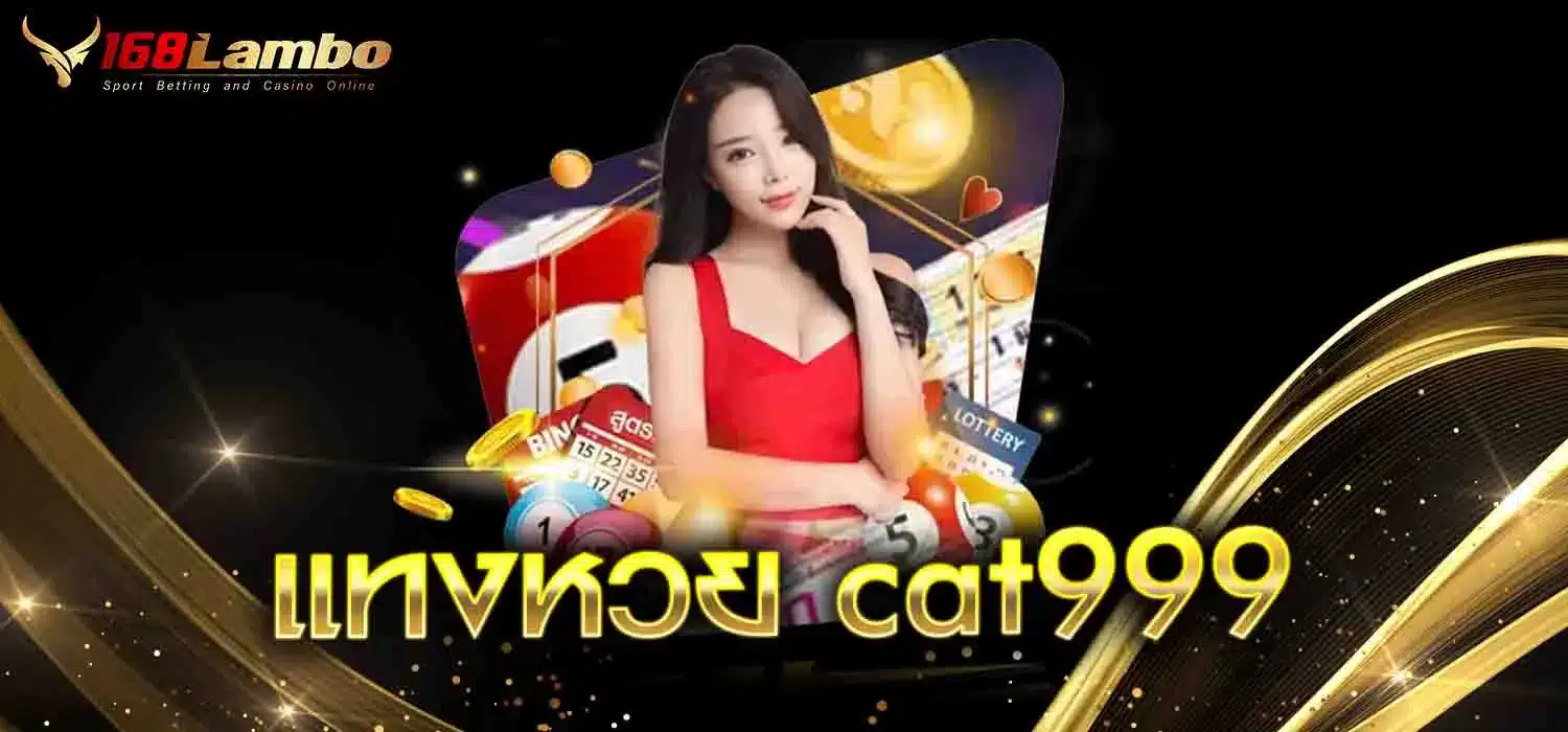 แทงหวย-cat999